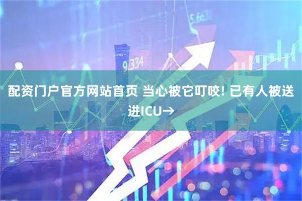 配资门户官方网站首页 当心被它叮咬! 已有人被送进ICU→