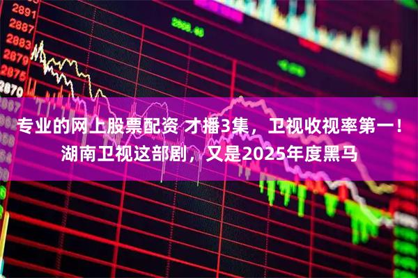 专业的网上股票配资 才播3集，卫视收视率第一！湖南卫视这部剧，又是2025年度黑马