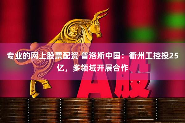 专业的网上股票配资 普洛斯中国：衢州工控投25亿，多领域开展合作