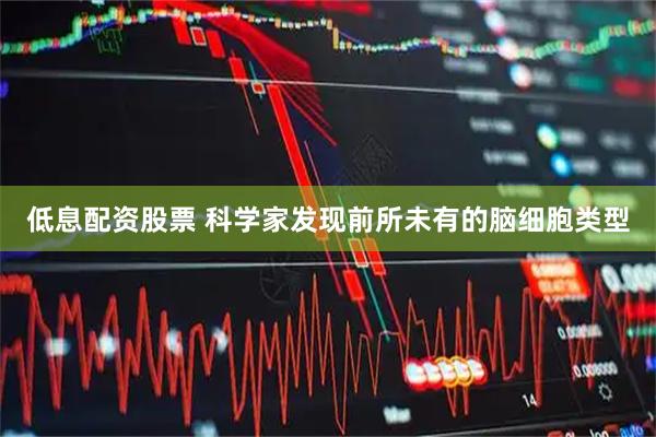 低息配资股票 科学家发现前所未有的脑细胞类型
