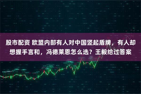 股市配资 欧盟内部有人对中国竖起盾牌，有人却想握手言和，冯德莱恩怎么选？王毅给过答案